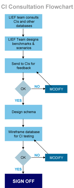 CI Consultation Diagram