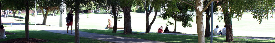 Global Education Programs random header image