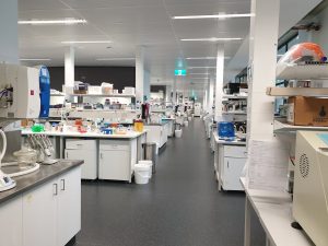 Laboratory where Munkhshur makes her nanoparticles
