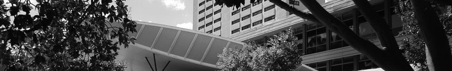 MSCU random header image
