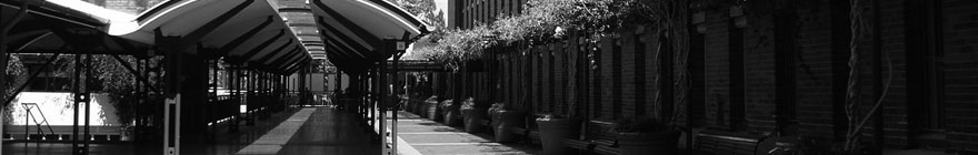 MSCU random header image