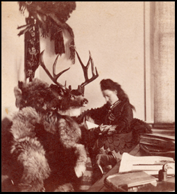 The (un)Natural History of Taxidermy