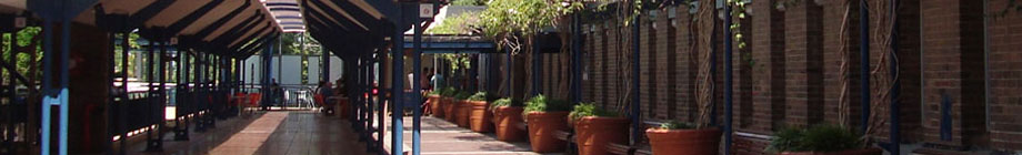 TRIM random header image