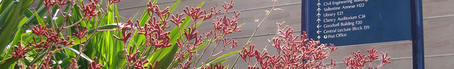 TRIM random header image